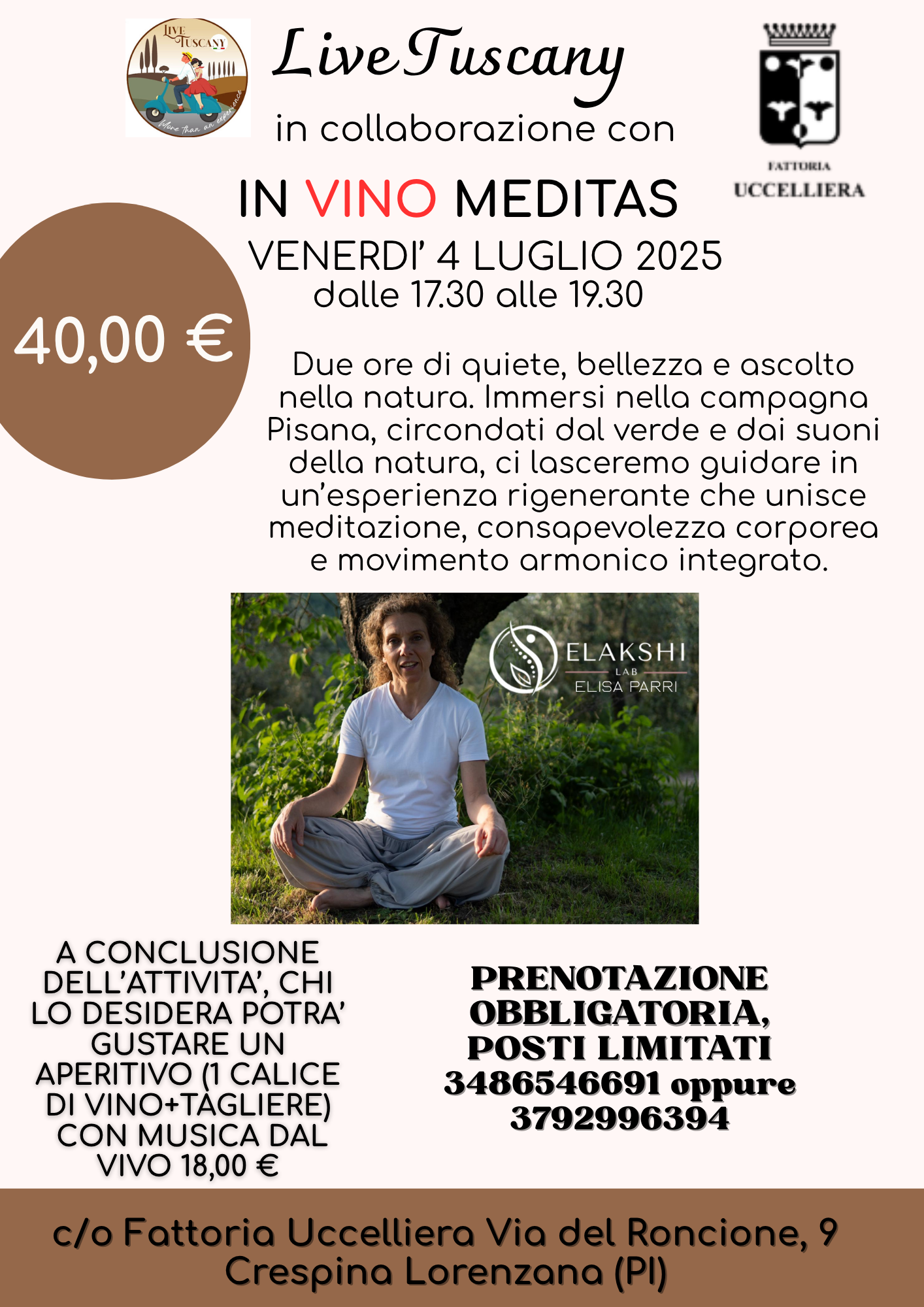 IN VINO MEDITAS